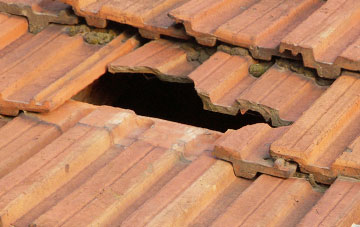 roof repair Knockan