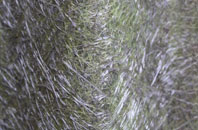 Knockan fibreglass roof work